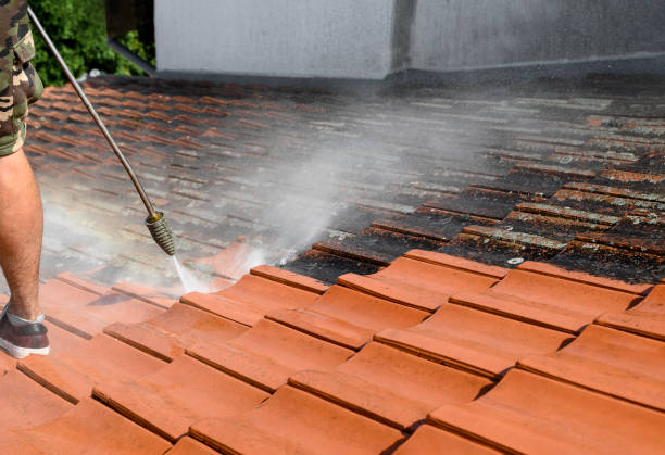Local Pressure Washing Services in Ketchikan, AK